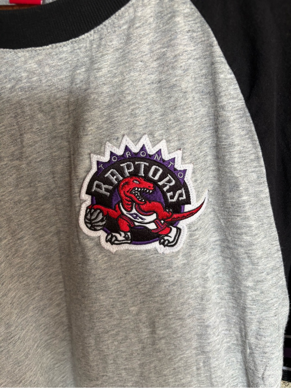 Mitchell & Ness Toronto Raptors Retro Dino Logo Raglan T-Shirt NBA HW Classics